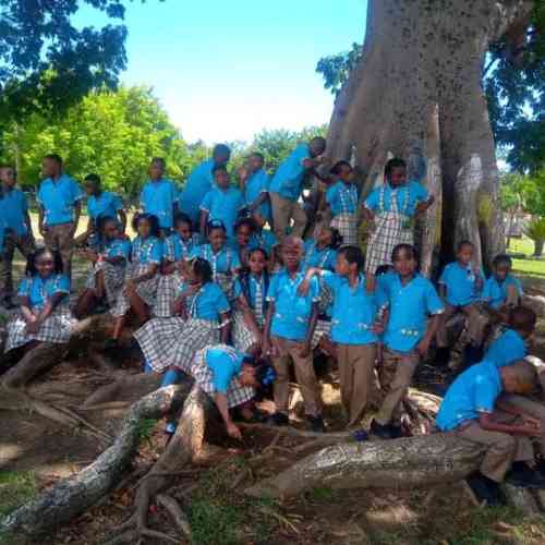 Little Bay Primary School Jamaica